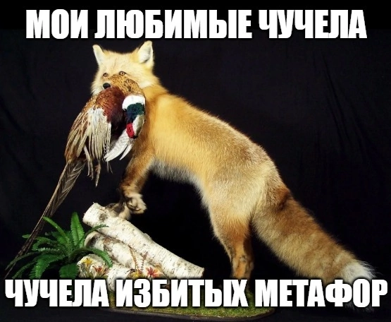 555x456