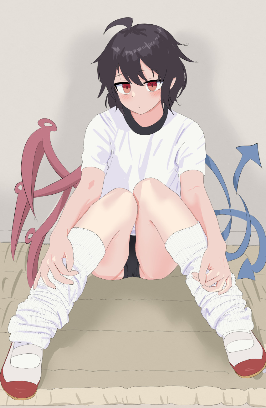 850x1306