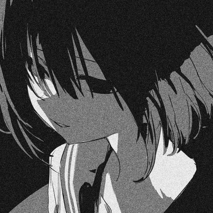 736x736