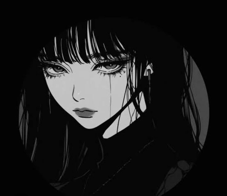 736x636