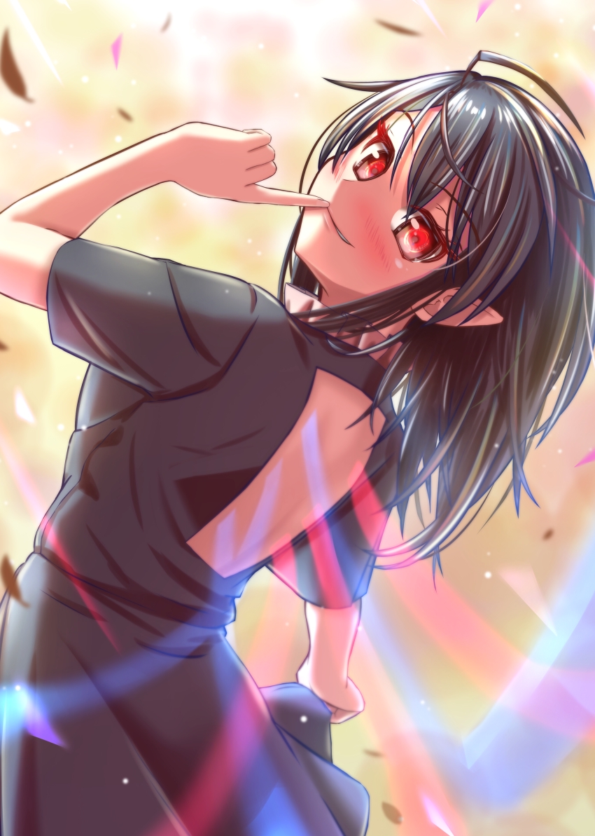 850x1193