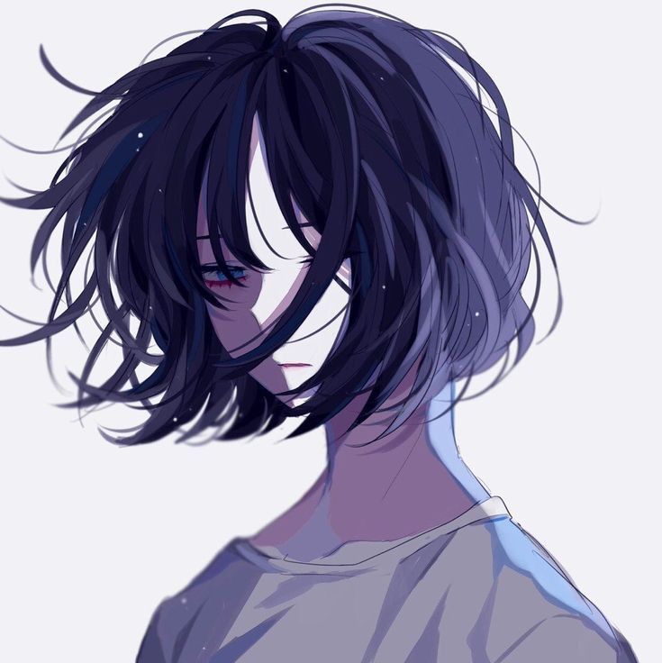 735x736