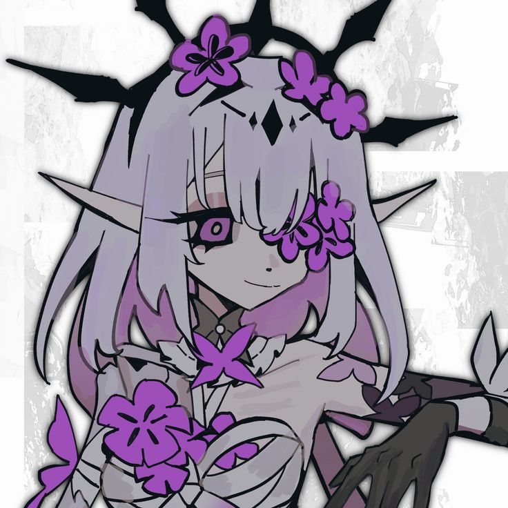 736x736