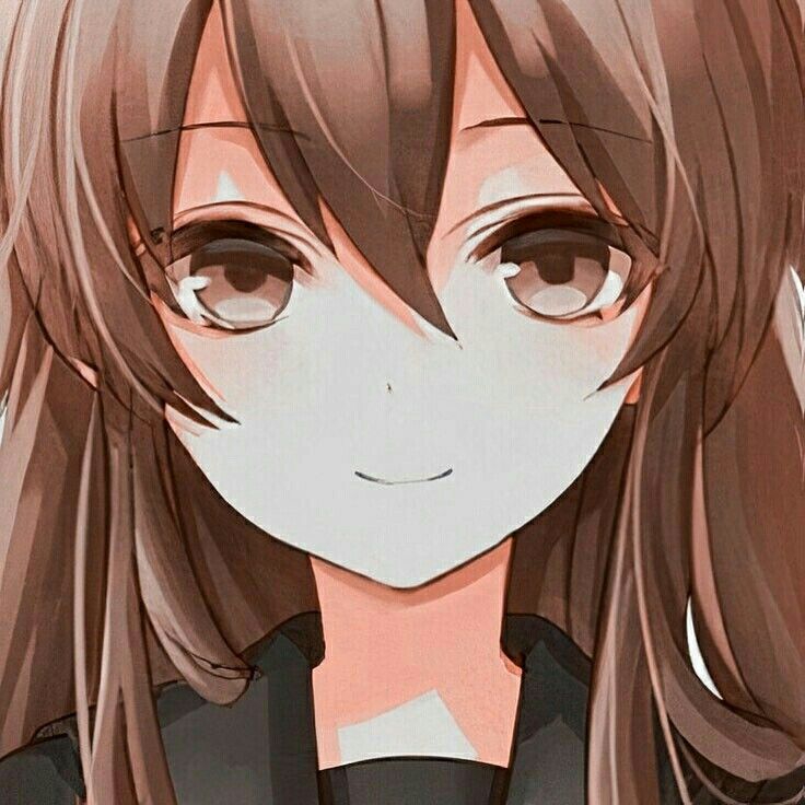 736x736