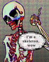 320x400