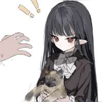 736x736