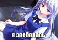 563x396