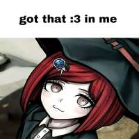 736x736