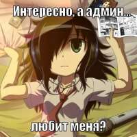 736x736