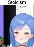 480x668