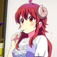 736x736
