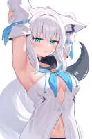 1838x2762