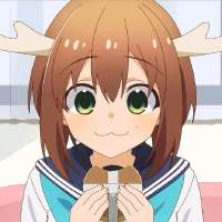 736x736