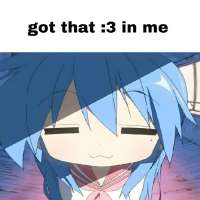 736x736