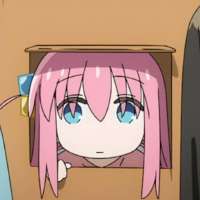 736x736