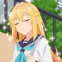 736x736