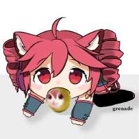 736x736