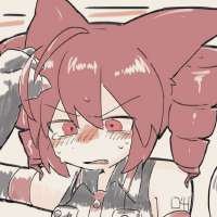 736x736