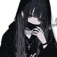 736x736