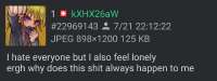 1080x409