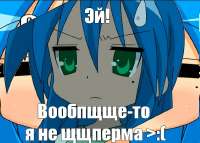 646x463