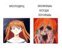 736x609