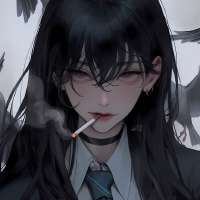 736x736