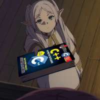736x736