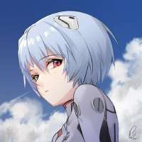 736x736