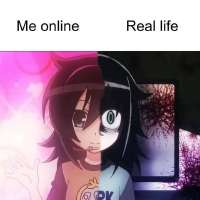 720x720