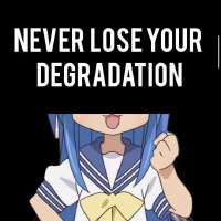736x736