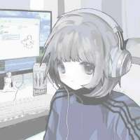 736x736