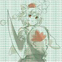1024x1024