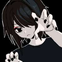 736x736