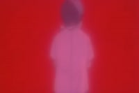20345
