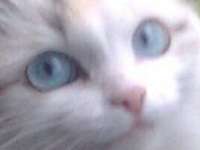400x300