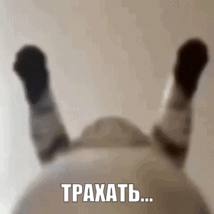 300x300