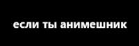 300x100
