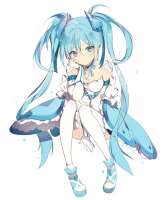 800x963