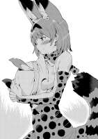 866x1220