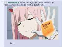 1233x931