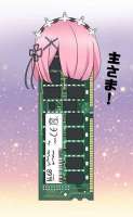 593x960