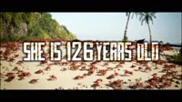 1280x720