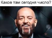 259x194