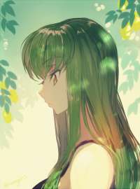600x806