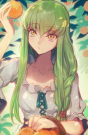 600x920