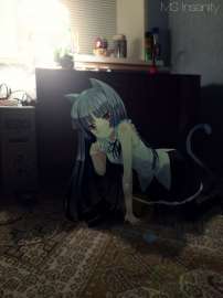 720x960
