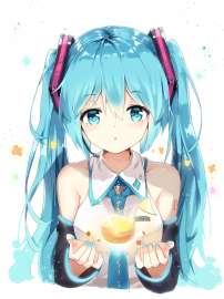 1529x2039