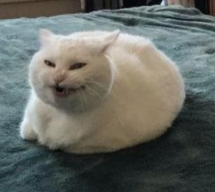 309x275
