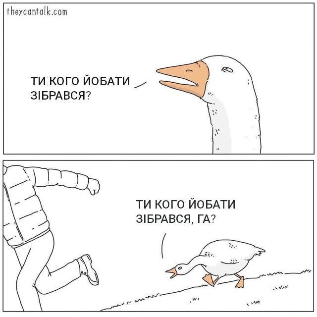 640x640